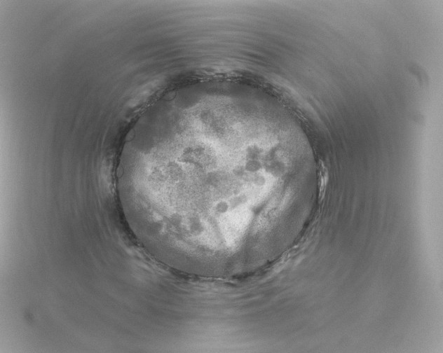 X0000115690819200911251811