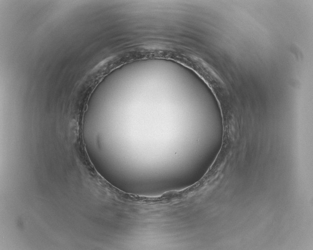 X0000115690821200911251811