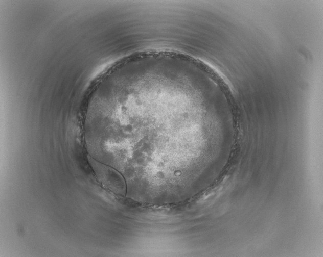 X0000115690823200911251811