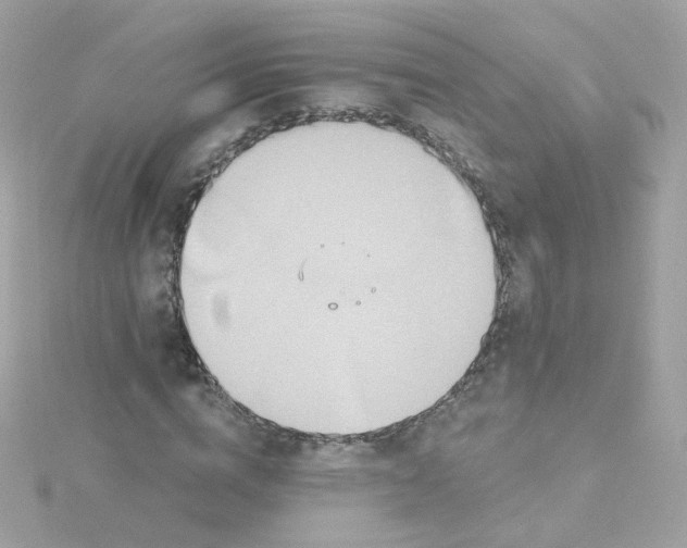 X0000115690824200911251811