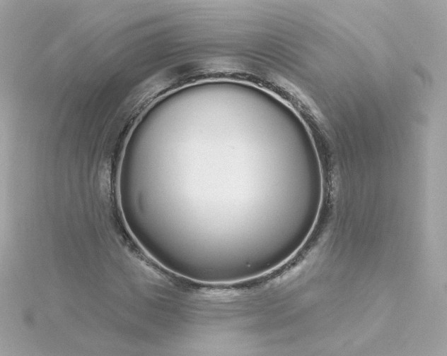 X0000115690825200911251811