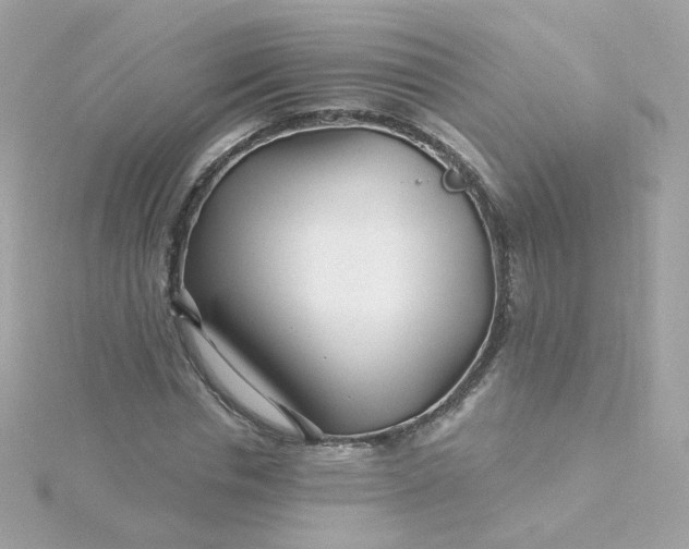 X0000115690826200911251811