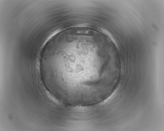 X0000115690827200911251811