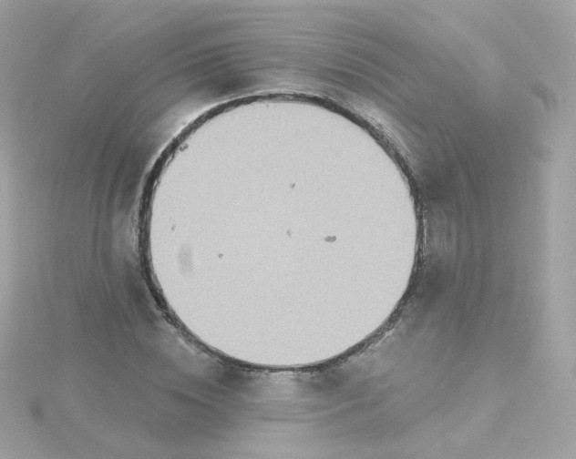 X0000115690828200911251811