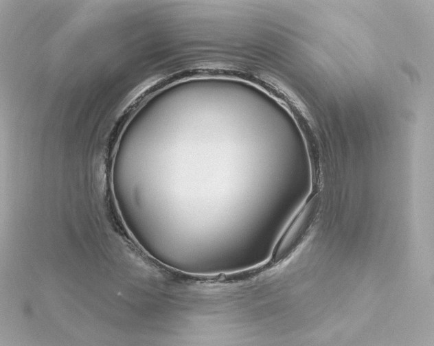 X0000115690829200911251811