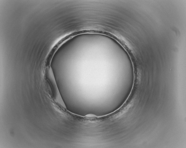 X0000115690830200911251811