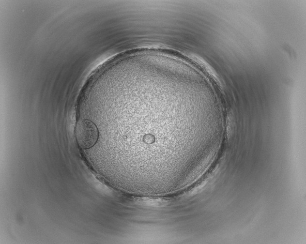 X0000115690831200911251811