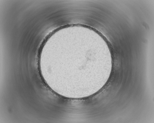 X0000115690832200911251811