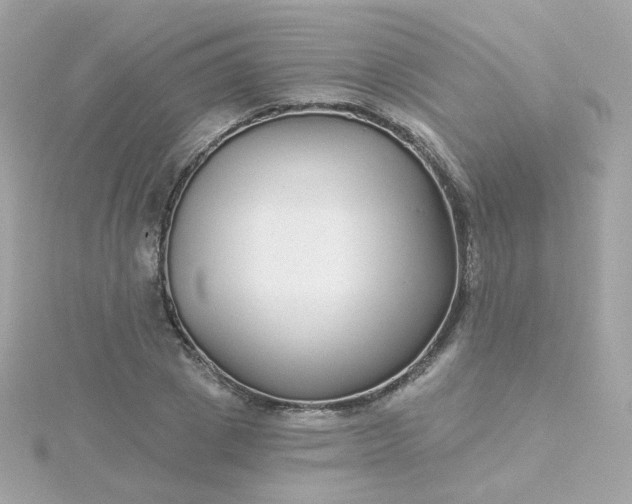 X0000115690833200911251811