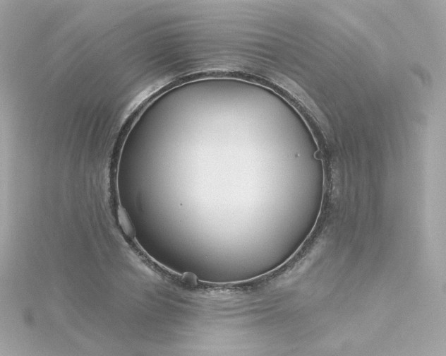 X0000115690834200911251811