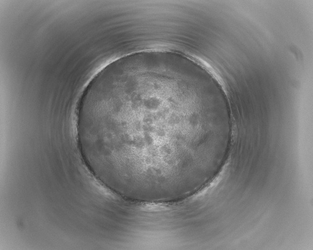 X0000115690835200911251811