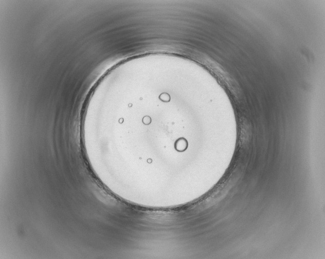 X0000115690836200911251811