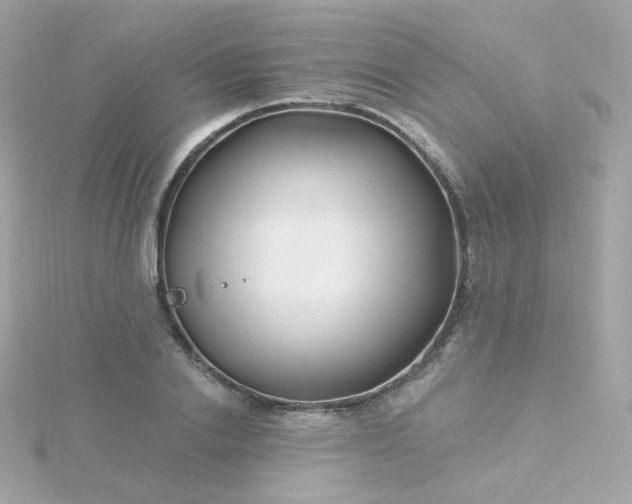 X0000115690838200911251811