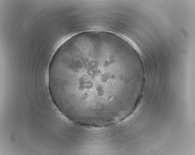 X0000115690839200911251811