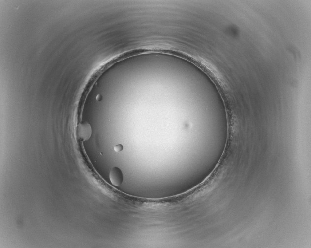 X0000115690840200911251811