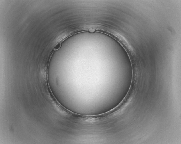 X0000115690841200911251811