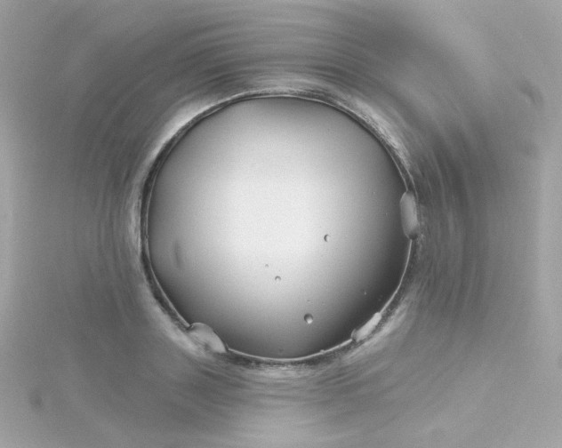 X0000115690843200911251811