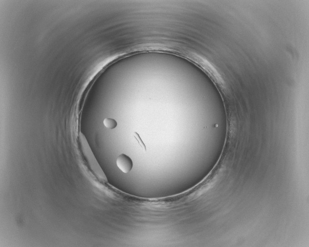 X0000115690844200911251811