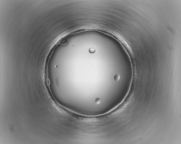 X0000115690845200911251811