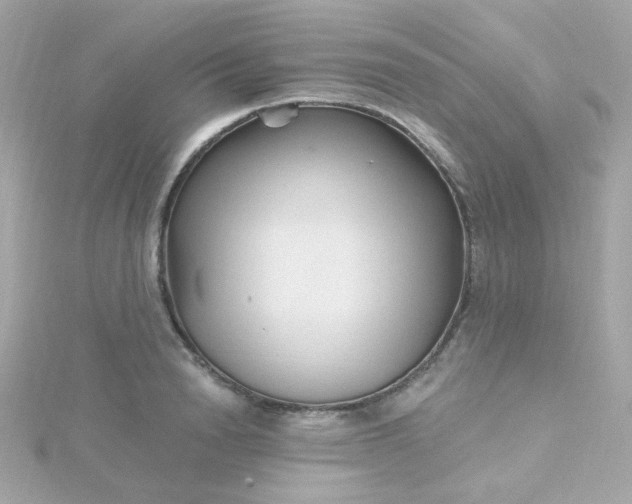 X0000115690846200911251811