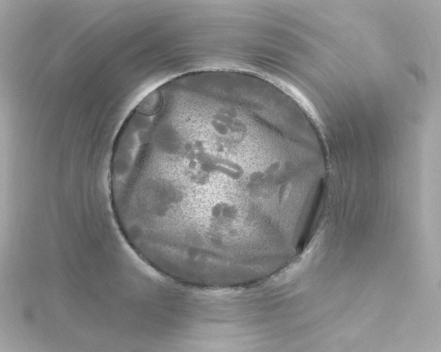 X0000115690847200911251811