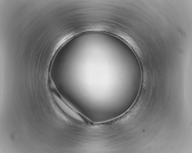 X0000115690850200911251811