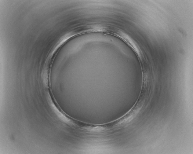 X0000115690851200911251811