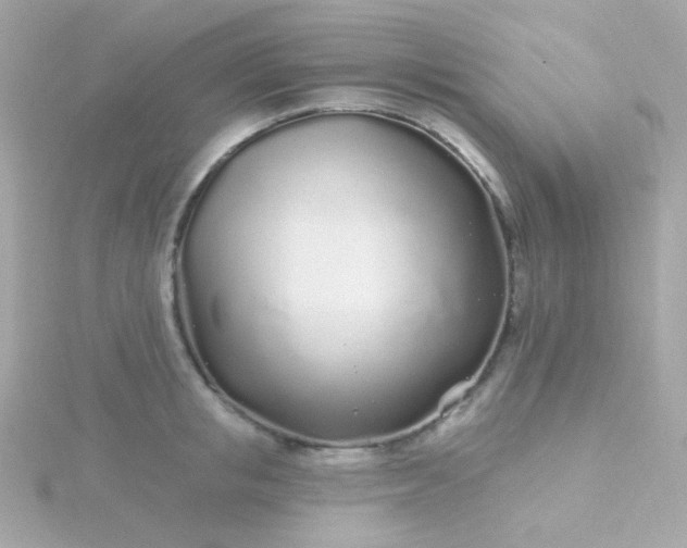 X0000115690853200911251811