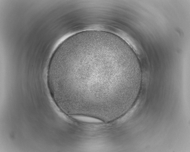 X0000115690854200911251811