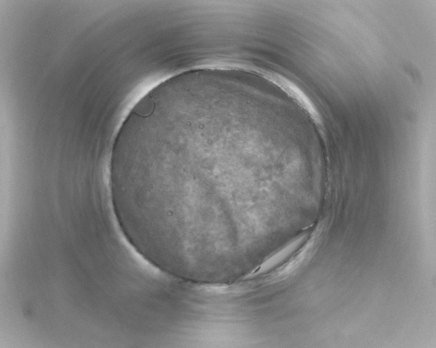 X0000115690855200911251811