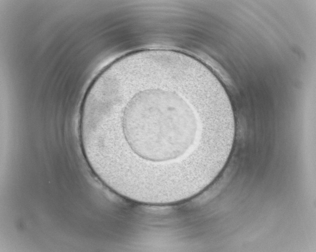 X0000115690856200911251811