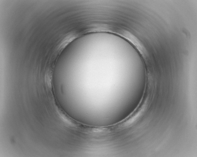 X0000115690857200911251811