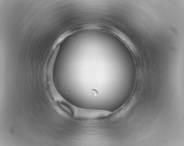 X0000115690858200911251811