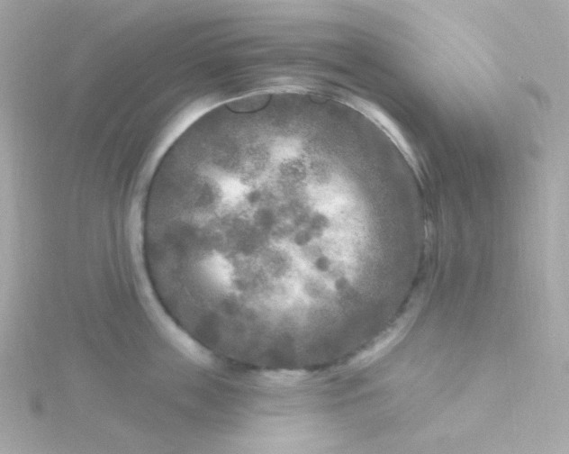 X0000115690859200911251811