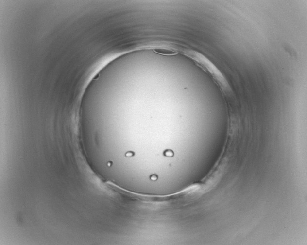 X0000115690860200911251811