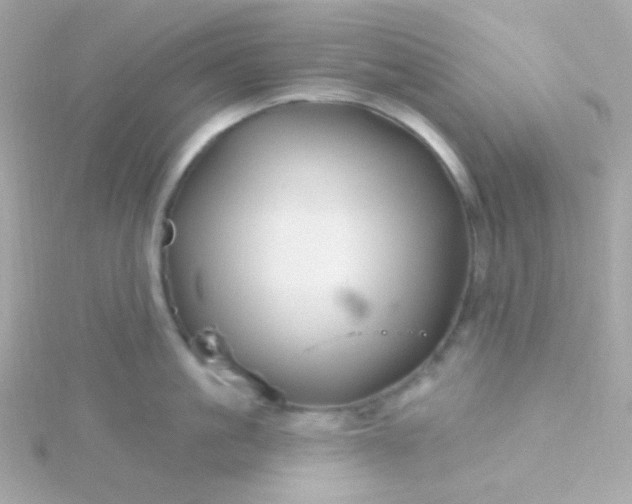 X0000115690861200911251811