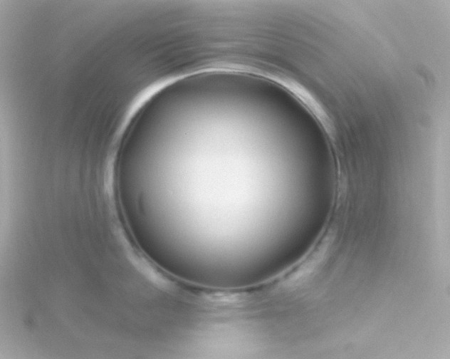 X0000115690862200911251811