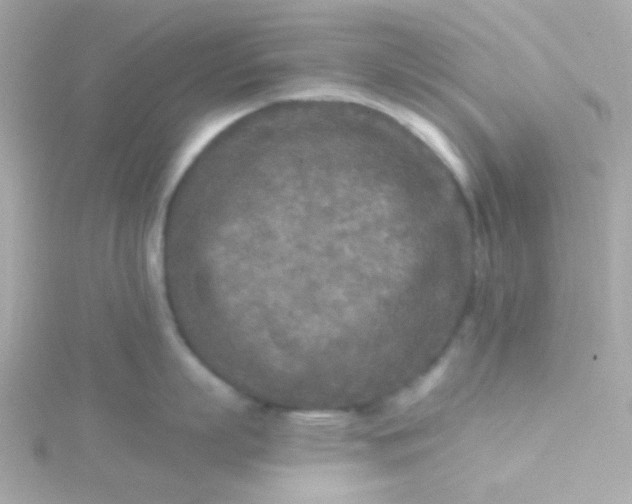 X0000115690863200911251811