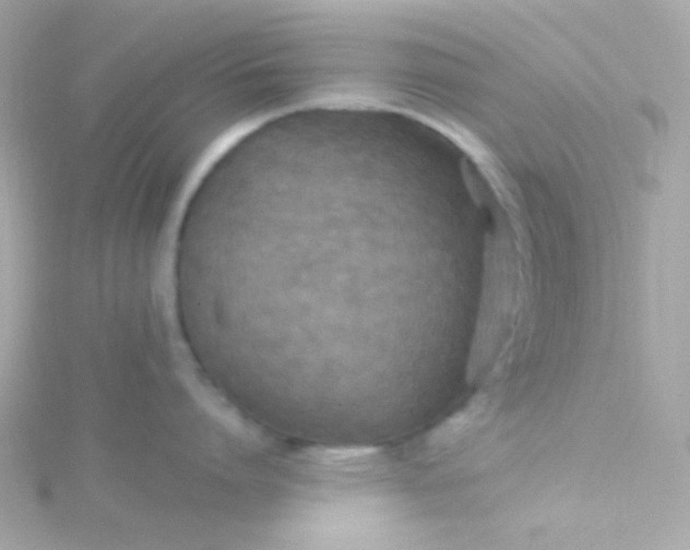 X0000115690864200911251811