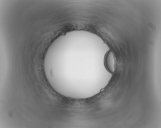 X0000115690865200911251811