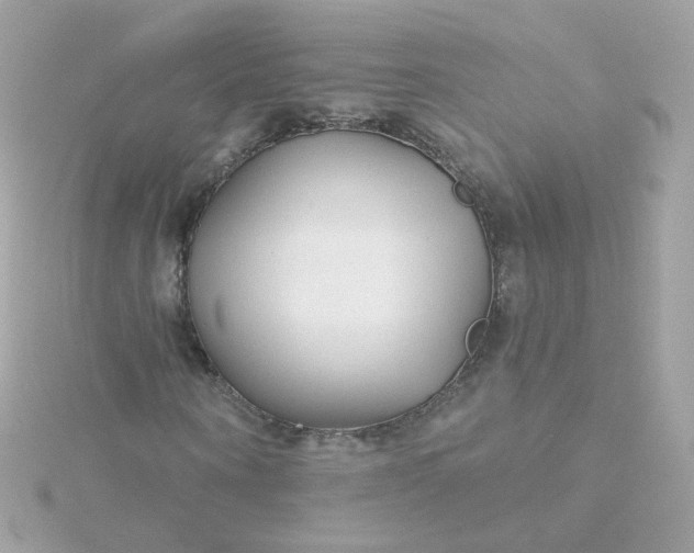 X0000115690866200911251811