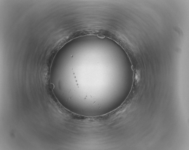 X0000115690867200911251811