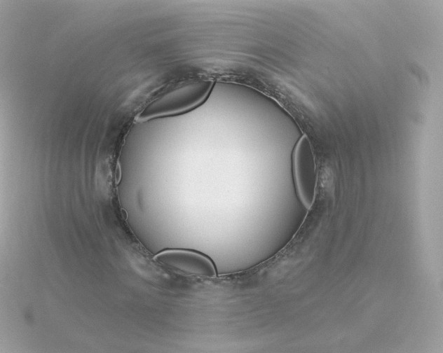 X0000115690868200911251811