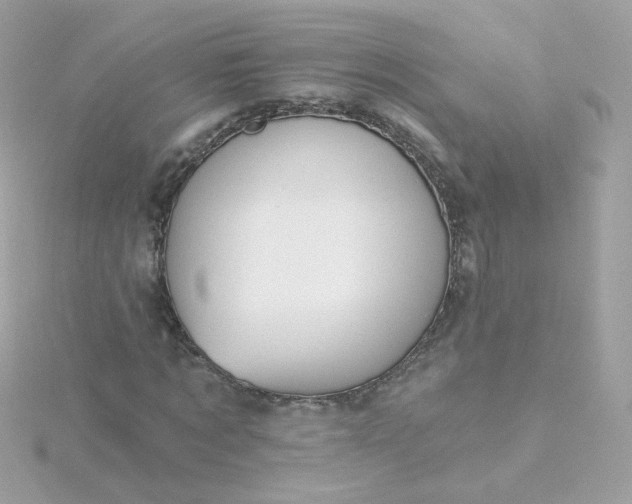 X0000115690869200911251811