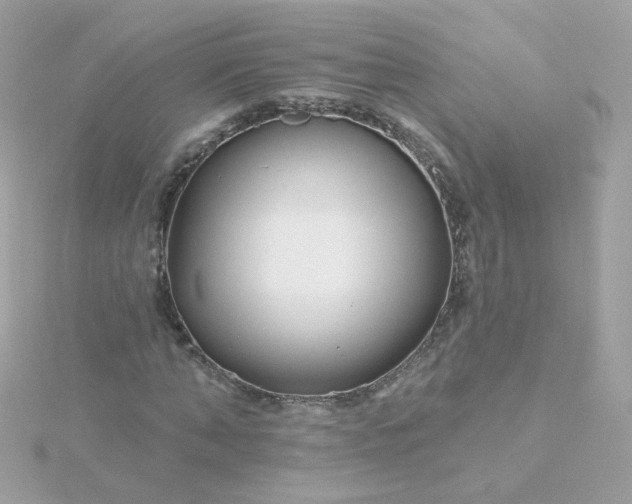 X0000115690870200911251811