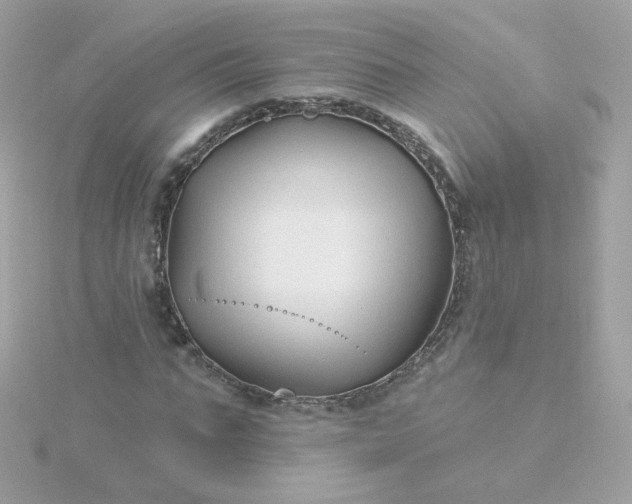 X0000115690871200911251811