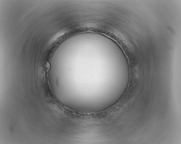 X0000115690872200911251811