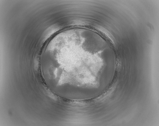 X0000115690874200911251811