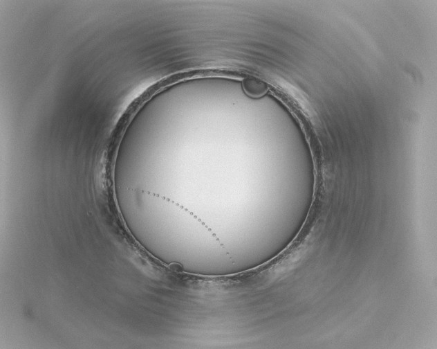 X0000115690875200911251811