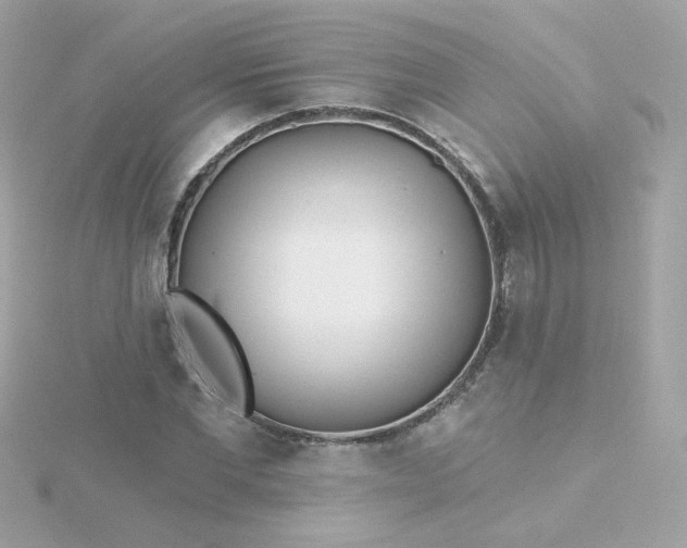 X0000115690877200911251811